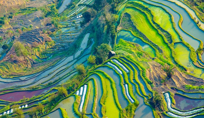 走进朝阳县TVC拍摄：解锁本地化场景与创意镜头的完美融合